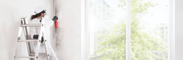 Best Air Quality Testing for Mold Spores  in Palmyra, IN